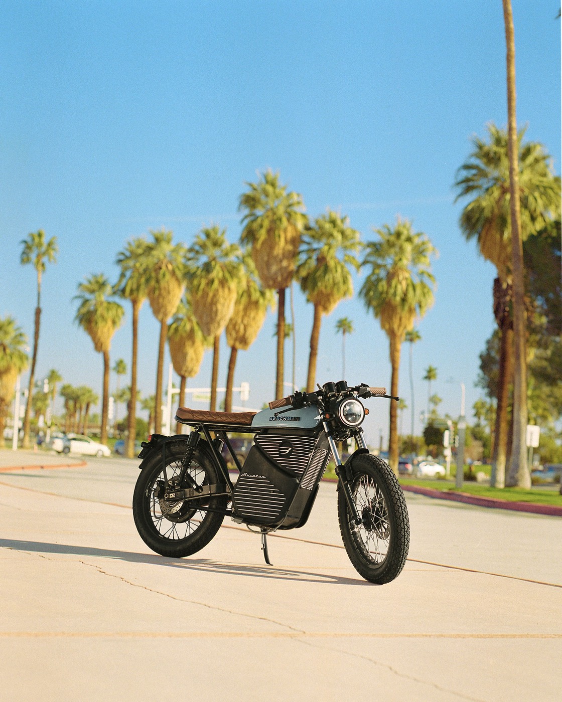 Beachman bike parked on a Palm Springs street lined with palms, shot on Kodak film
