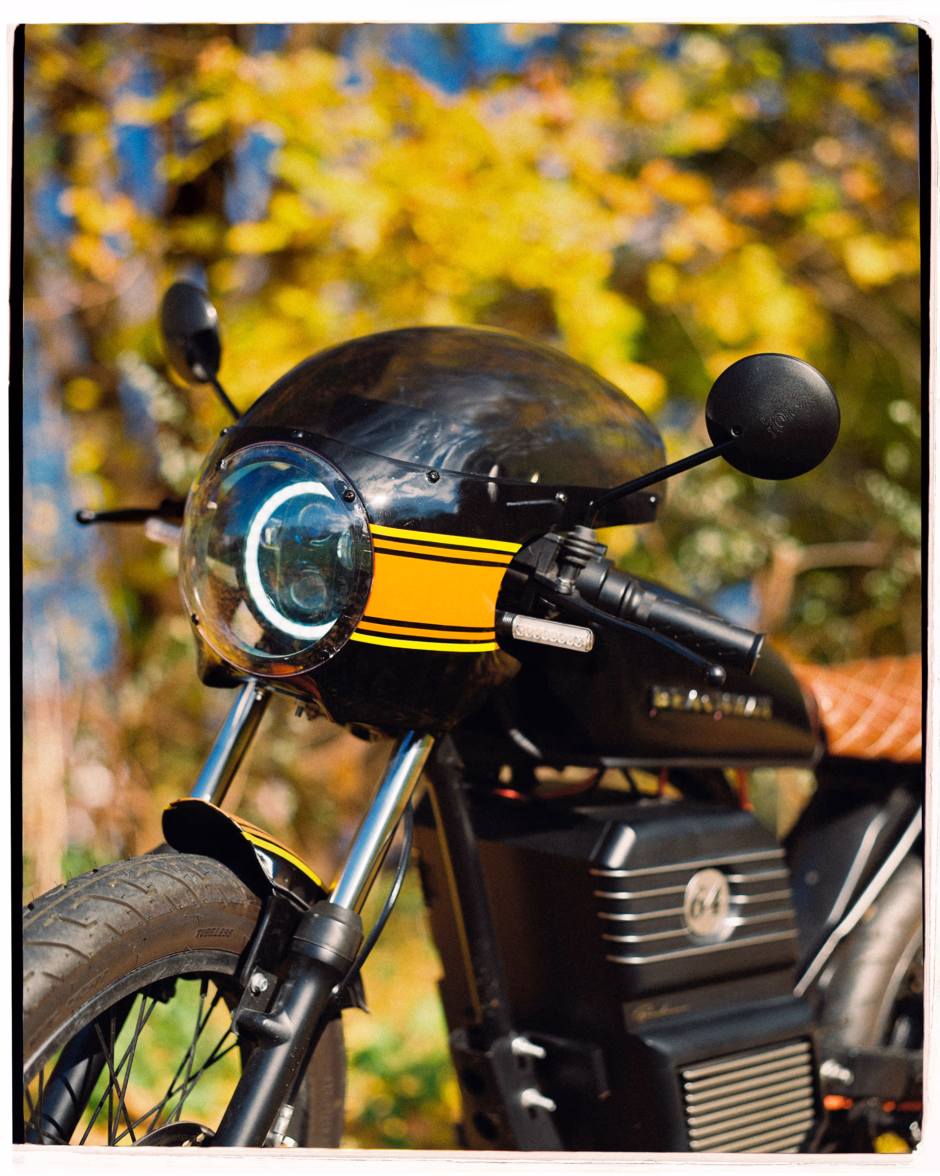 The black-and-orange café fairing head-on in the leaves