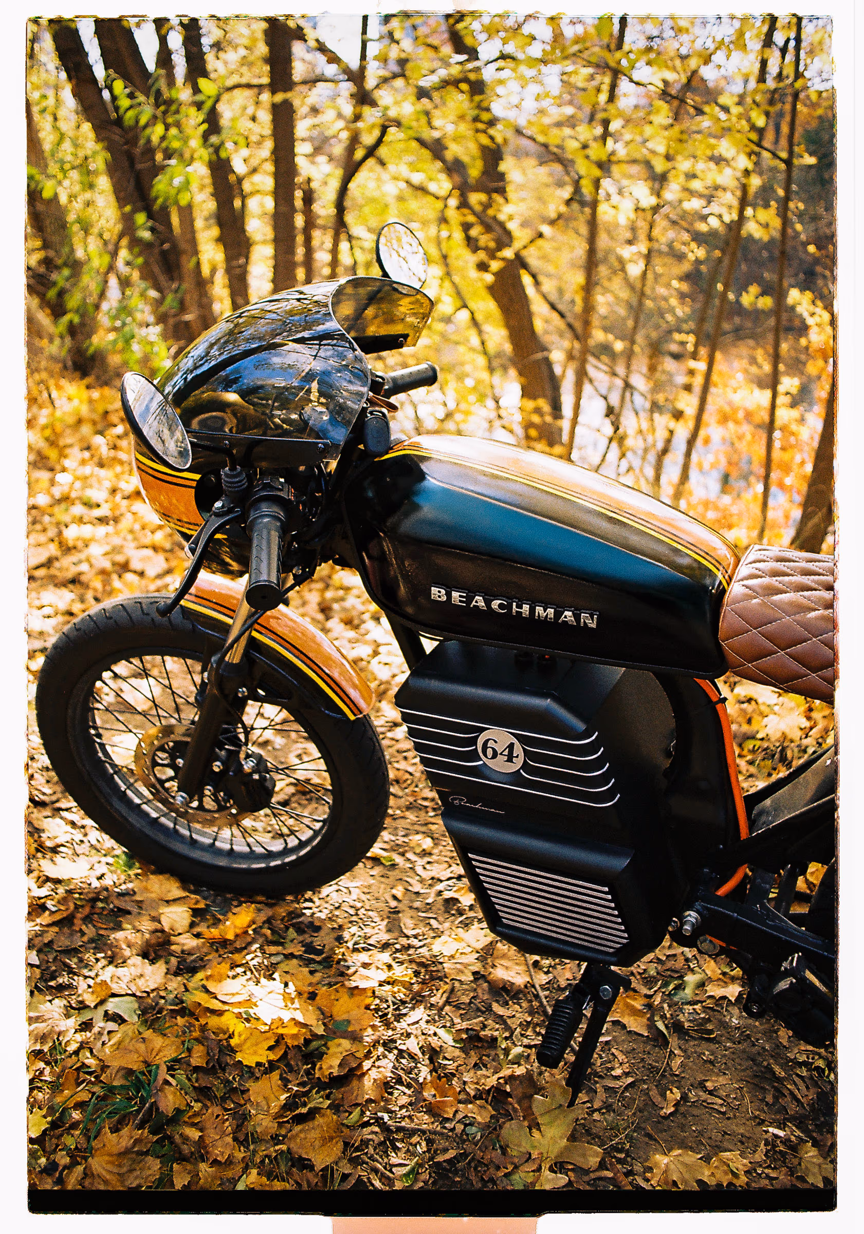 The fairing nose down among the fallen leaves