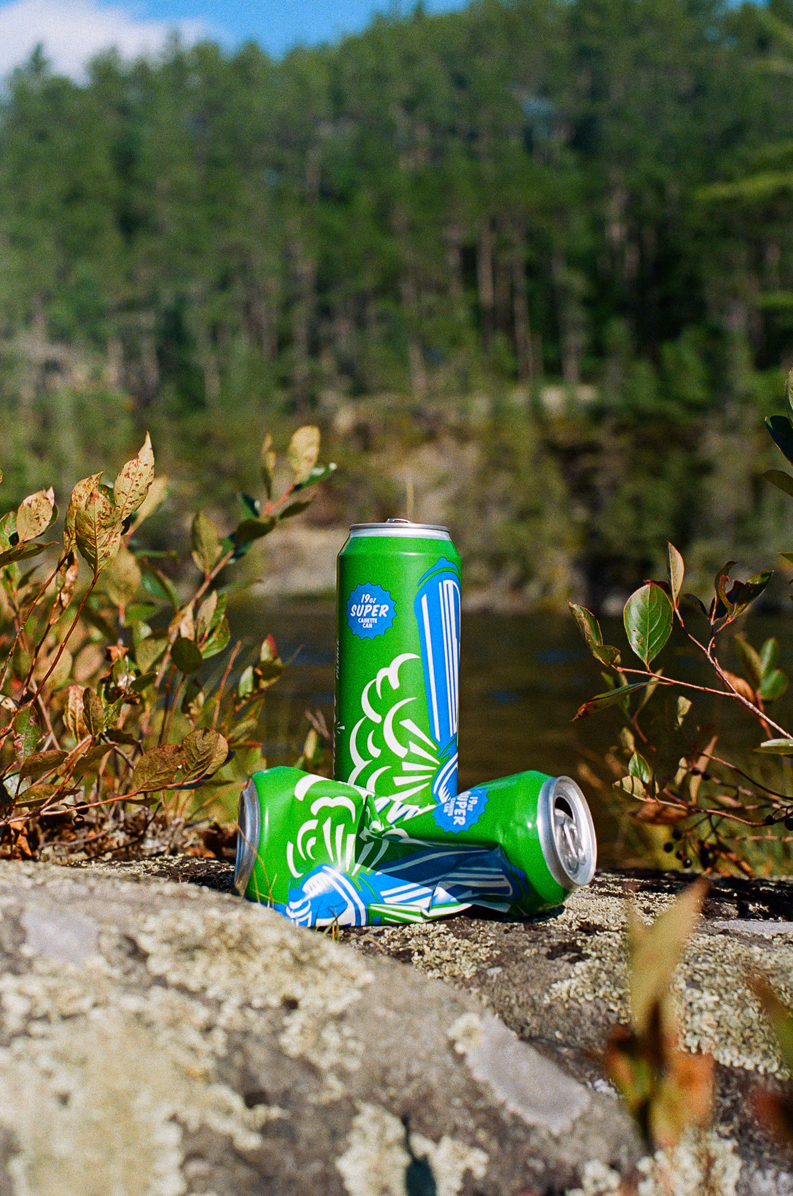 A pair of cans propped on the rocky shore among ferns