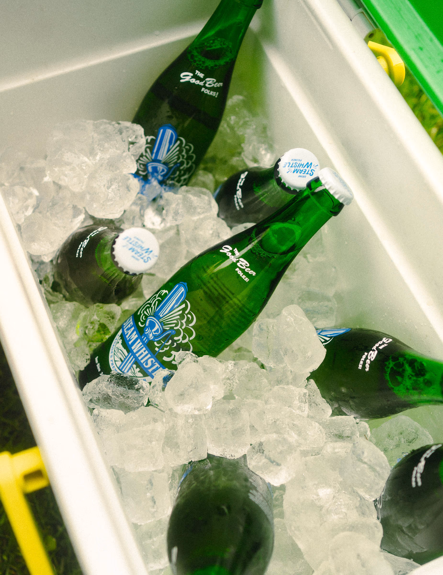 Green bottles buried in cooler ice
