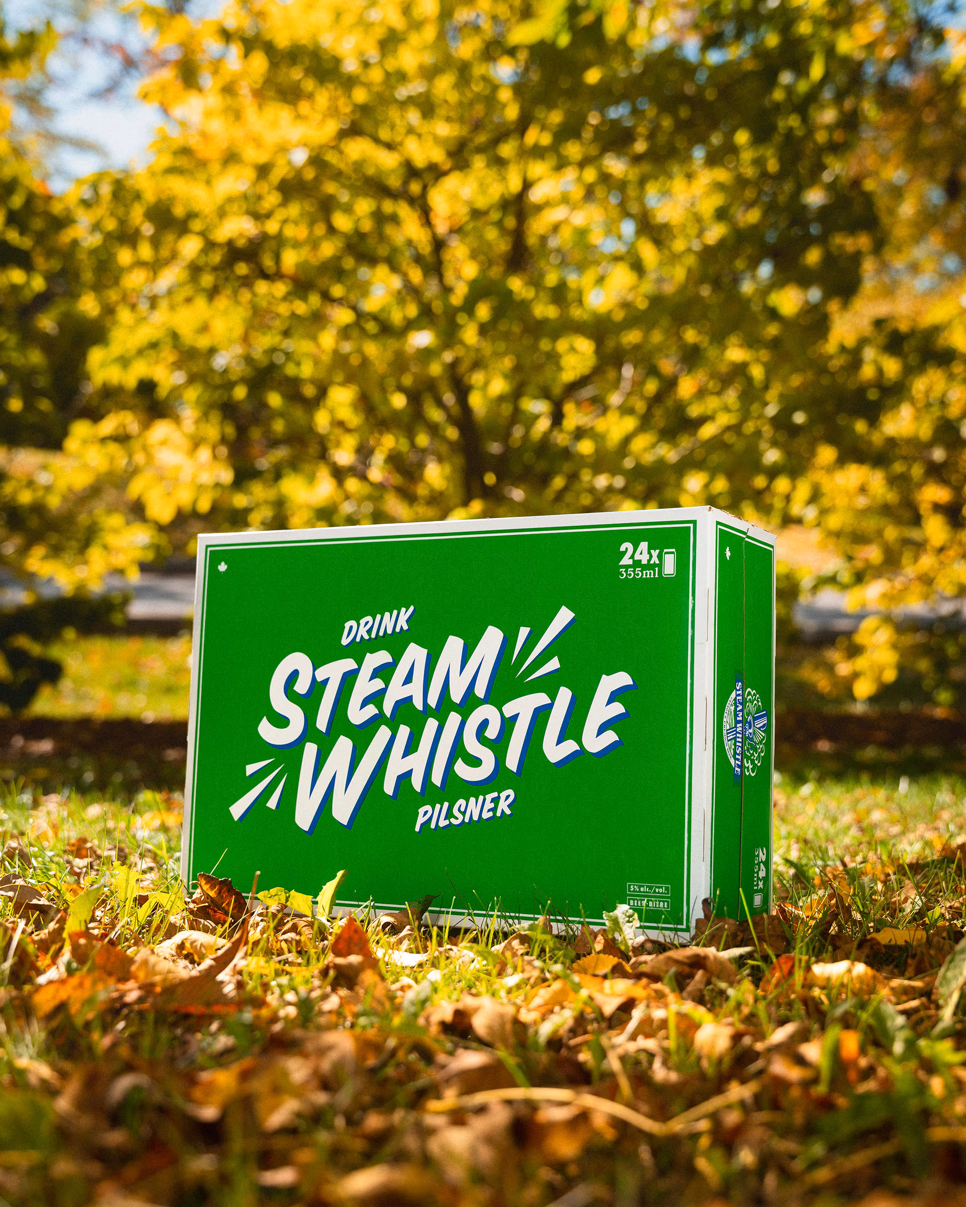 The 24-pack sitting in the leaf-covered lawn